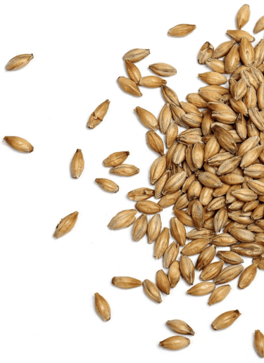 ミエハク工業のコンセプト