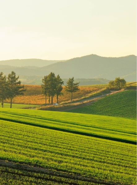 ミエハク工業について